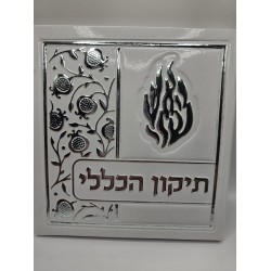 ברכת תיקון הכללי לבן